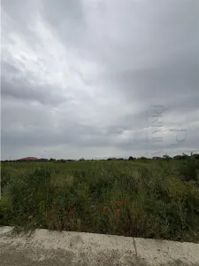 Teren- Mosnita Noua- Toate utilitatile+ strada betonata - foto 2