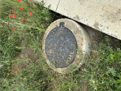 Teren- Mosnita Noua- Toate utilitatile+ strada betonata - foto 3