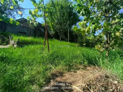 Resita Casa Zona Gradina Zoologica - foto 14