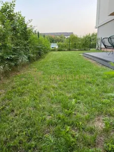Apartament cu 3 camere ,pretabil pentru birouri - foto 9