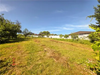 Casa de vanzare, Voiniceni, 10 arii, pivnita, 2 bucatarii, spre Unirii, Mures - foto 11