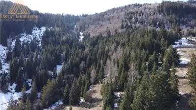 Teren 4.1ha cu izvor pe el debit 5Lpe secunda - Vatra Dornei