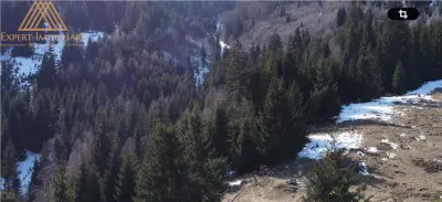 Teren 4.1ha cu izvor pe el debit 5Lpe secunda - foto 6