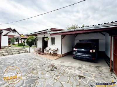 FILM & 3D! Intre traditie si modern, un camin cu personalitate - foto 4