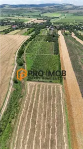 Teren intravilan+extravilan zona Vernesti - foto 2