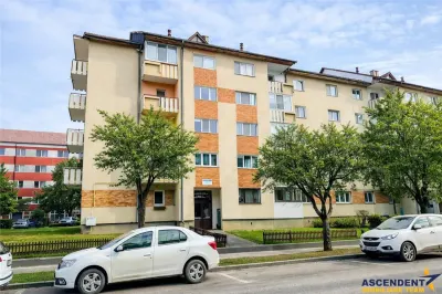 FILM&3D! Apartament cochet,2 camere, decomandat,Nicolae Iorga,Sfantu Gheorghe - foto 3