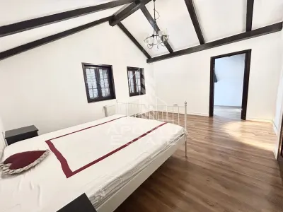 Casa cu 5 camere de inchiriat, curte proprie, Sanmihaiu Roman, Timis - foto 2