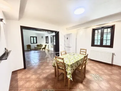 Casa cu 5 camere de inchiriat, curte proprie, Sanmihaiu Roman, Timis - foto 15