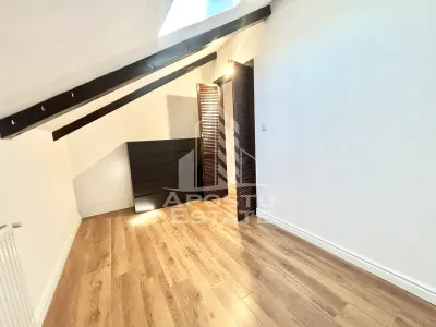Casa cu 5 camere de inchiriat, curte proprie, Sanmihaiu Roman, Timis - foto 6