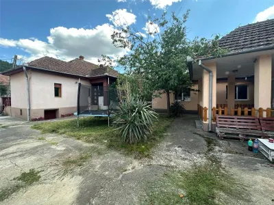 Bocsa Montana, 2 Case direct la Soseaua Principala, la pret de una - foto 2