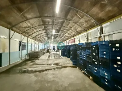 Teren de 20.096 mp, in Iernut, la 1,1 km de Centru Logistic Lidl - foto 6