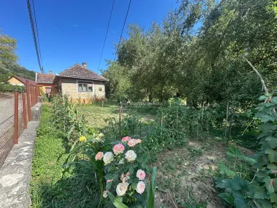 Bocsa Montana, Casa Cocheta de Vacanta sau investitie, Zona Pitoreasca - foto 24