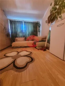 Apartament Modern 2 Camere la Mansarda, Poarta 6 - foto 6