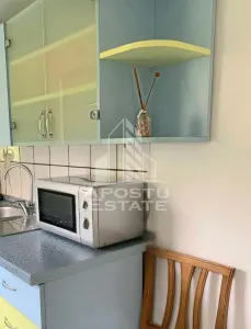 Apartament cu 2 camere si living la parter Calea Lipovei - foto 8