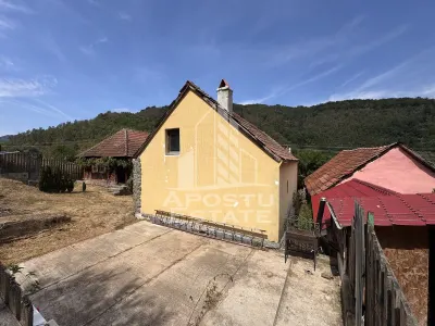 Casa batraneasca, renovata complet, teren 640mp, in Dabaca, Hunedoara - foto 13