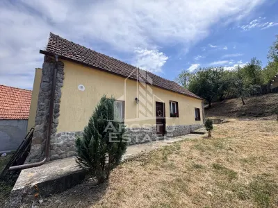 Casa batraneasca, renovata complet, teren 640mp, in Dabaca, Hunedoara - foto 4