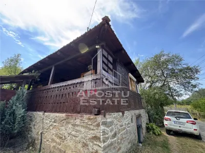 Casa batraneasca, renovata complet, teren 640mp, in Dabaca, Hunedoara - foto 8