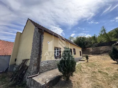 Casa batraneasca, renovata complet, teren 640mp, in Dabaca, Hunedoara - foto 9