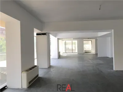 Vanzare spatiu comercial showroom birouri 258 mp + 135 mp terasa - foto 3