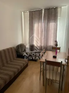 Apartament 2 camere de inchiriat, Calea Sagului, Timisoara - foto 2