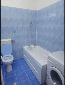 Garoniera Giurgiului - foto 6