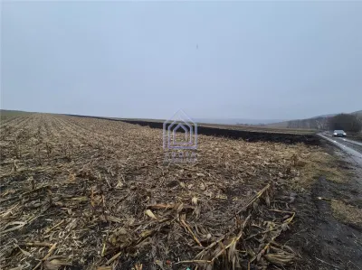 Teren intravilan Moara Carp - zona Ponoare - foto 3