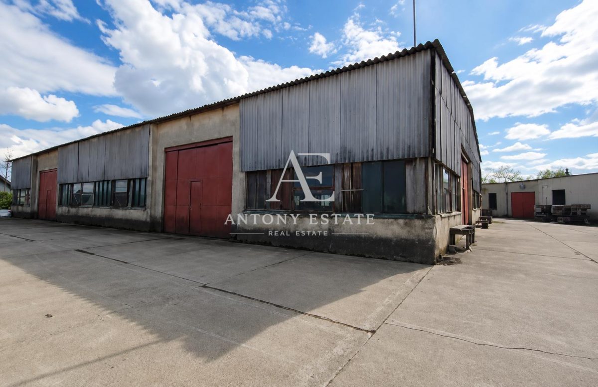 Antony Estate | Chirie hala-900 mp,Paleu-Oradea - Oradea
