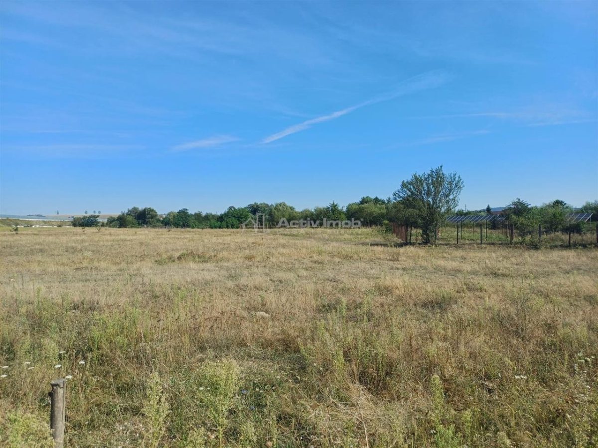 Teren intravilan de vanzare 9000 mp zona intre iazuri Talmaciu - Talmaciu