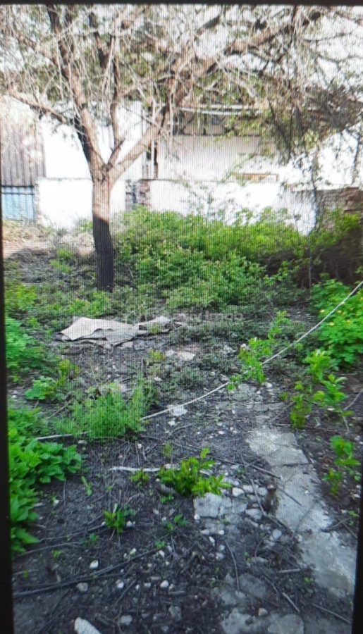 Teren pentru casa-Bucurestii Noi-pozitie foarte buna - Bucuresti