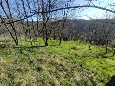 Oravita, Teren Intravilan,  3,8 Euro MP, In Oras, Usor Negociabil - foto 20