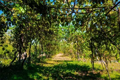 Pensiune cu teren de 5.700 mp, Runcu - Cheile Sohodolului - foto 5