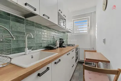 Inchiriere garsoniera - boiler - Visana - Tineretului - foto 7