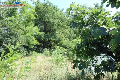 Teren intravilan de vanzare zona Dallas - foto 6