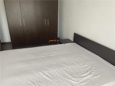 Apartament 2 camere , zona b- dul Brailei - hipermarket Kaufland , renovat ,mobilat si utilat - foto 18