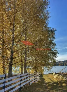 Teren intravilan, iesire Lac - foto 9