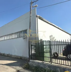 HALA/BIROURI/ HALA DEPOZIT SI 2900 MP TEREN DE VANZARE BACAU - foto 4