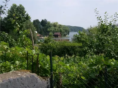 Vanzare casa 5 camere,  pe un nivel, 2021, vedere lac Snagov, - foto 24