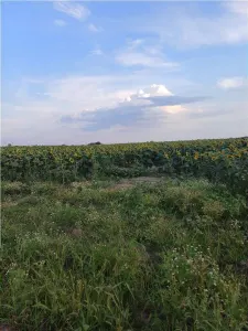 Otopeni-Str.Dr.Garii Balotesti-70.000mp-front 220ml-Ideal Investitie - foto 9