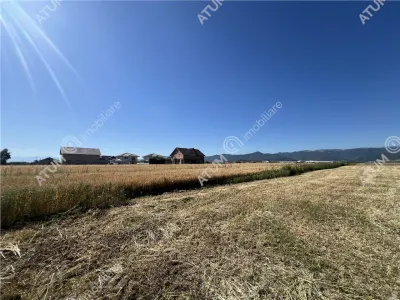 De vanzare teren extravilan de 10400 mp in Cristian zona Serelor - foto 4