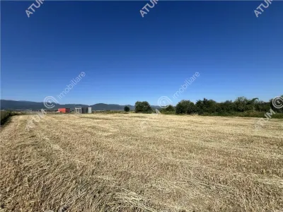 De vanzare teren cu PUZ in suprafata de 3752 mp situat in Cristian - foto 3