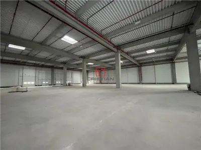 Inchiriere depozit/hala/spatiu industrial Stefanesti - Centura - foto 18