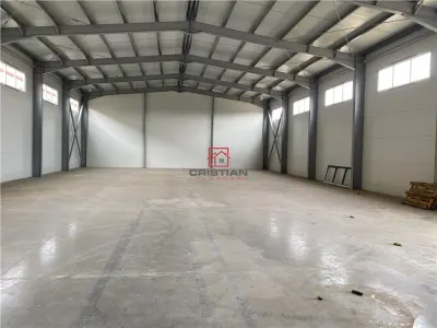 Vanzare depozit/hala/spatiu industrial Theodor Pallady - Drumul Intre Tarlale - Oxigenului - foto 15
