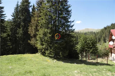 terenuri speciale Padina Busteni sunt dispuse ca o veritabila coroana in jurul lacului Bolboci - foto 21