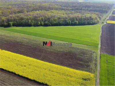 Vanzare Teren Central, Moara Vlasiei - foto 5