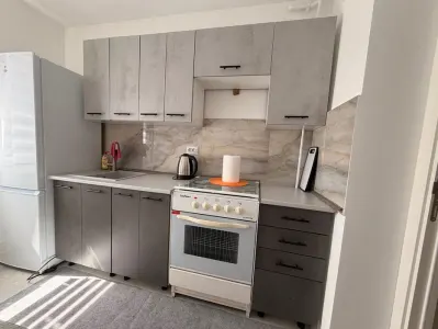 Apartament 2 camere – Podu Roș, Dedeman | 48 mp | Aproape de Palas - foto 4