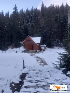 Cabana de vanzare zona Arieseni - foto 3