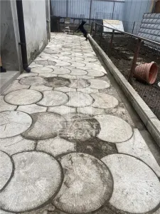 Casa unifamiliala in Timisoara,cu spatiul comercial - foto 5