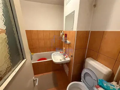 Apartament 1 camera de inchiriat zona Pacurari - foto 4