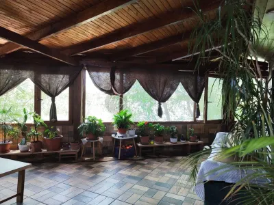 MDI Casa din busteni cu balta - foto 25