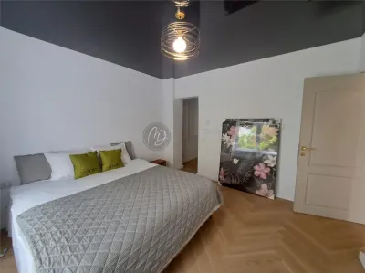 MDI casa lux zona Gheorghe Doja - foto 23